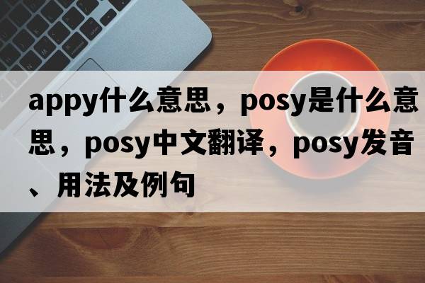 appy什么意思，posy是什么意思，posy中文翻譯，posy發(fā)音、用法及例句