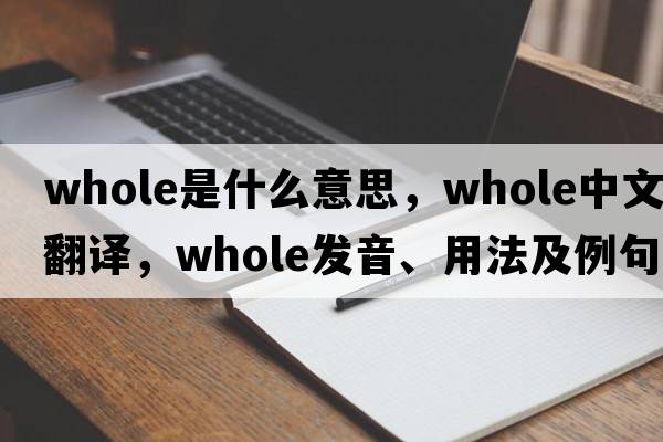 whole是什么意思，whole中文翻譯，whole發(fā)音、用法及例句