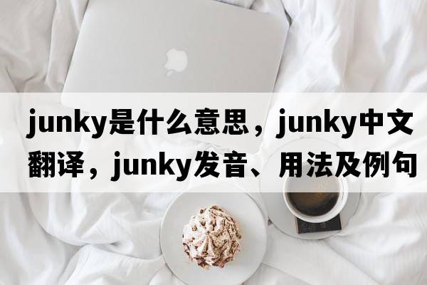 junky是什么意思，junky中文翻譯，junky發(fā)音、用法及例句