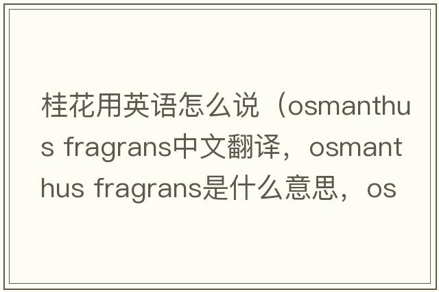 桂花用英語(yǔ)怎么說(shuō)（osmanthus fragrans中文翻譯，osmanthus fragrans是什么意思，osmanthus fragrans發(fā)音、用法及例句）