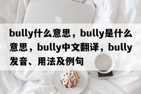 bully什么意思，bully是什么意思，bully中文翻譯，bully發(fā)音、用法及例句