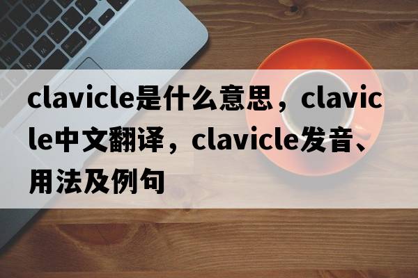 clavicle是什么意思，clavicle中文翻譯，clavicle發(fā)音、用法及例句