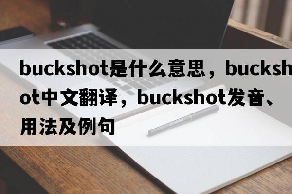 buckshot是什么意思，buckshot中文翻譯，buckshot發(fā)音、用法及例句