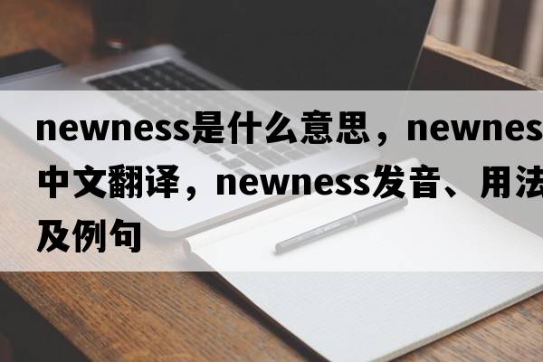 newness是什么意思，newness中文翻譯，newness發(fā)音、用法及例句