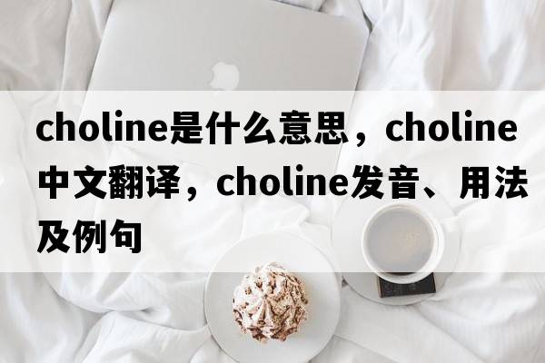 choline是什么意思，choline中文翻譯，choline發(fā)音、用法及例句