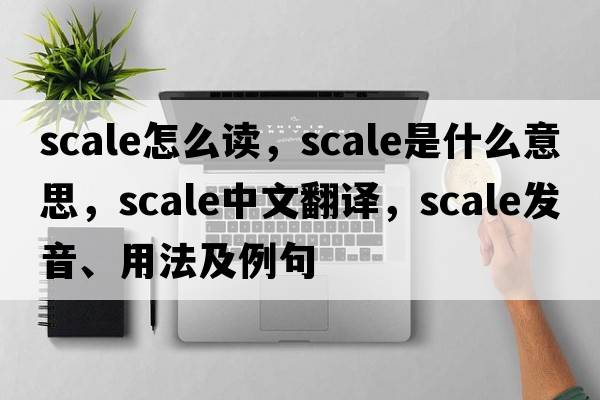 scale怎么讀，scale是什么意思，scale中文翻譯，scale發(fā)音、用法及例句