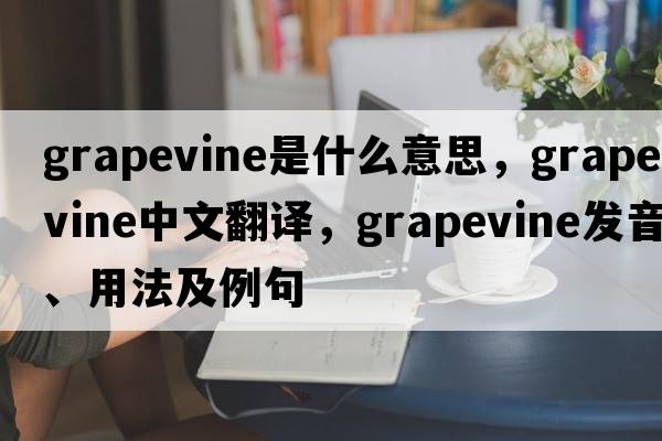 grapevine是什么意思，grapevine中文翻譯，grapevine發(fā)音、用法及例句