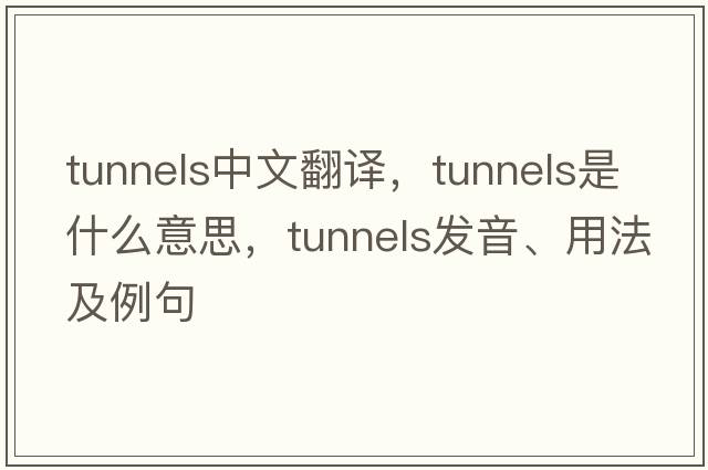tunnels中文翻譯，tunnels是什么意思，tunnels發(fā)音、用法及例句