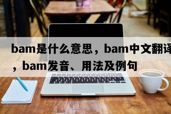 bam是什么意思，bam中文翻譯，bam發(fā)音、用法及例句