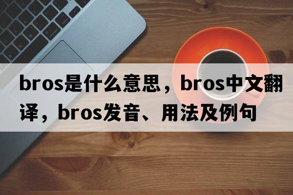 BROS是什么意思，BROS中文翻譯，BROS發(fā)音、用法及例句