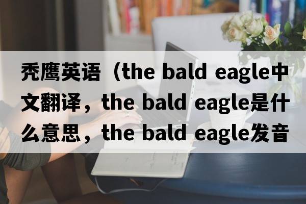 禿鷹英語(yǔ)（the bald eagle中文翻譯，the bald eagle是什么意思，the bald eagle發(fā)音、用法及例句）