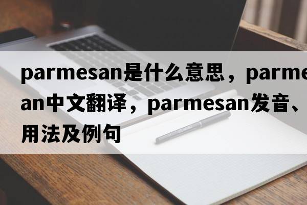 Parmesan是什么意思，Parmesan中文翻譯，Parmesan發(fā)音、用法及例句