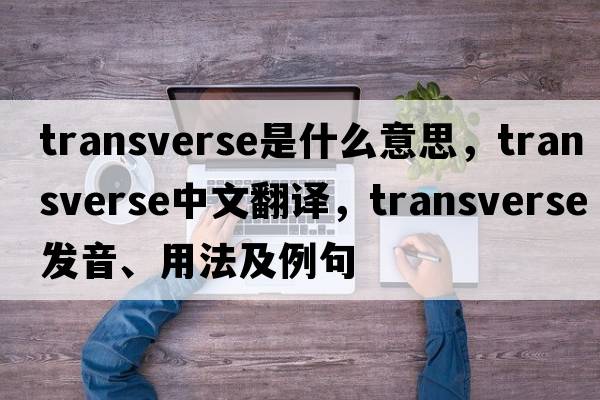 transverse是什么意思，transverse中文翻譯，transverse發(fā)音、用法及例句