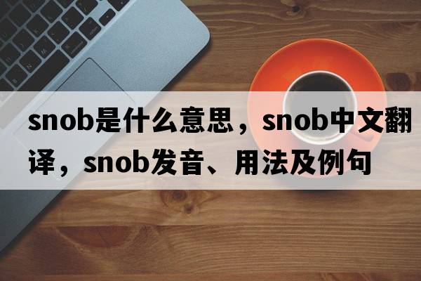 snob是什么意思，snob中文翻譯，snob發(fā)音、用法及例句