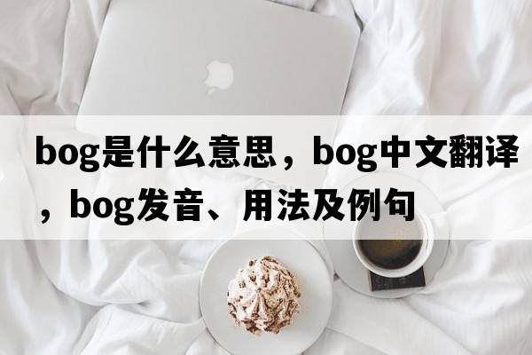 bog是什么意思，bog中文翻譯，bog發(fā)音、用法及例句