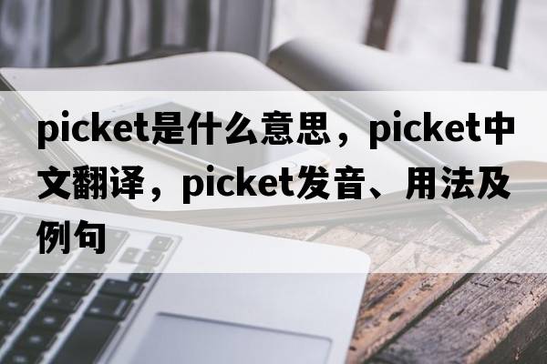 picket是什么意思，picket中文翻譯，picket發(fā)音、用法及例句