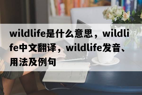 wildlife是什么意思，wildlife中文翻譯，wildlife發(fā)音、用法及例句