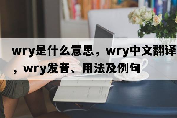 wry是什么意思，wry中文翻譯，wry發(fā)音、用法及例句