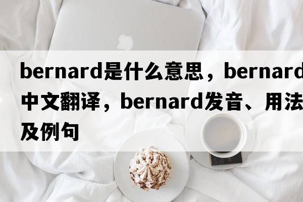 bernard是什么意思，bernard中文翻譯，bernard發(fā)音、用法及例句