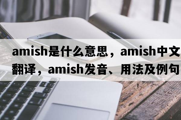 amish是什么意思，amish中文翻譯，amish發(fā)音、用法及例句