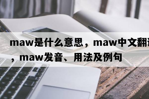 maw是什么意思，maw中文翻譯，maw發(fā)音、用法及例句
