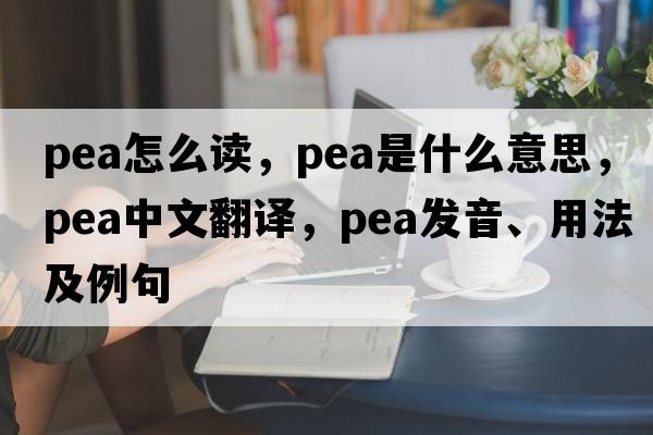 pea怎么讀，pea是什么意思，pea中文翻譯，pea發(fā)音、用法及例句