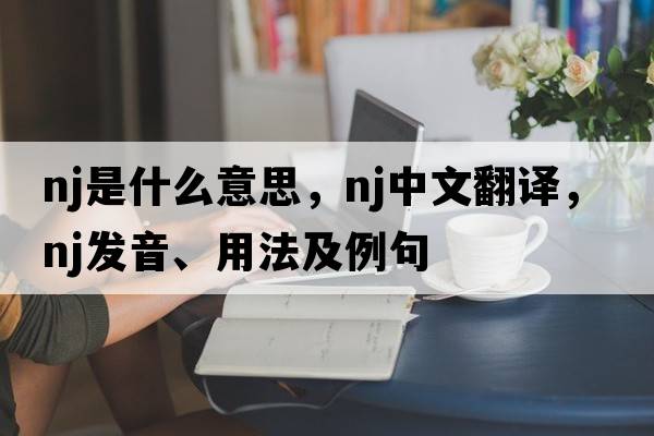 nj是什么意思，nj中文翻譯，nj發(fā)音、用法及例句