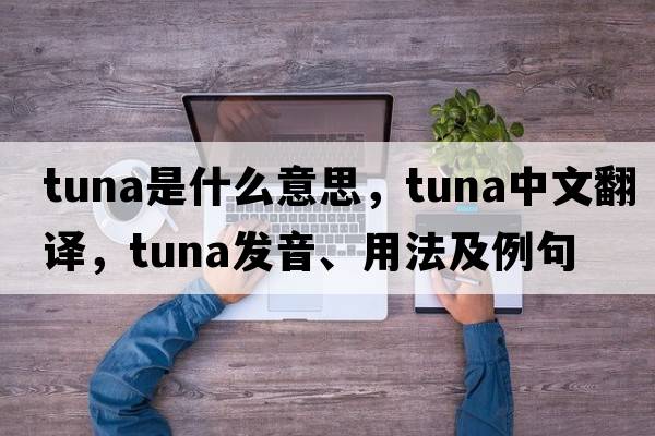 tuna是什么意思，tuna中文翻譯，tuna發(fā)音、用法及例句