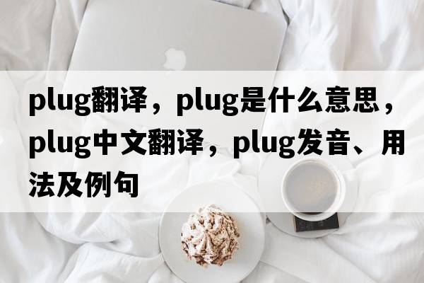 plug翻譯，plug是什么意思，plug中文翻譯，plug發(fā)音、用法及例句