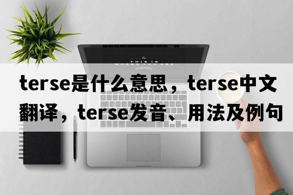 terse是什么意思，terse中文翻譯，terse發(fā)音、用法及例句