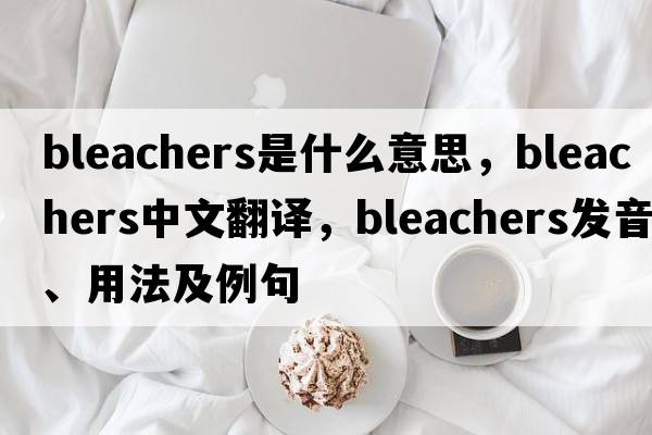 bleachers是什么意思，bleachers中文翻譯，bleachers發(fā)音、用法及例句