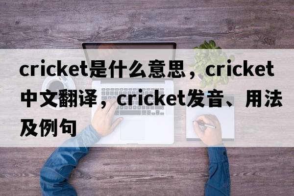 cricket是什么意思，cricket中文翻譯，cricket發(fā)音、用法及例句