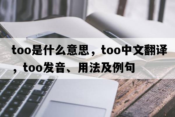 too是什么意思，too中文翻譯，too發(fā)音、用法及例句