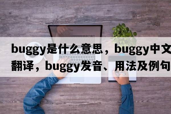 buggy是什么意思，buggy中文翻譯，buggy發(fā)音、用法及例句