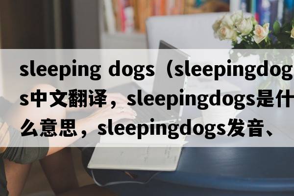 sleeping dogs（sleepingdogs中文翻譯，sleepingdogs是什么意思，sleepingdogs發(fā)音、用法及例句）