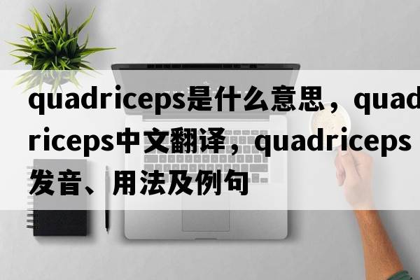 quadriceps是什么意思，quadriceps中文翻譯，quadriceps發(fā)音、用法及例句