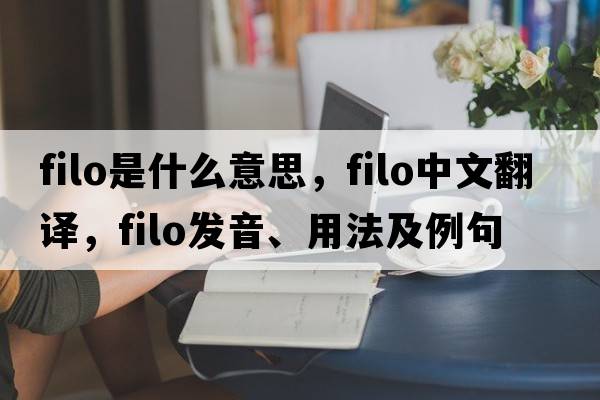 filo是什么意思，filo中文翻譯，filo發(fā)音、用法及例句