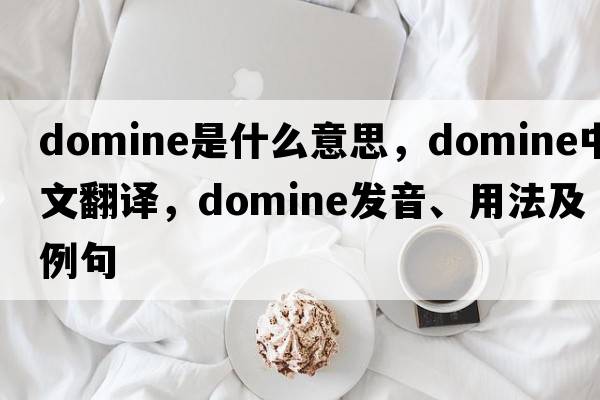 domine是什么意思，domine中文翻譯，domine發(fā)音、用法及例句