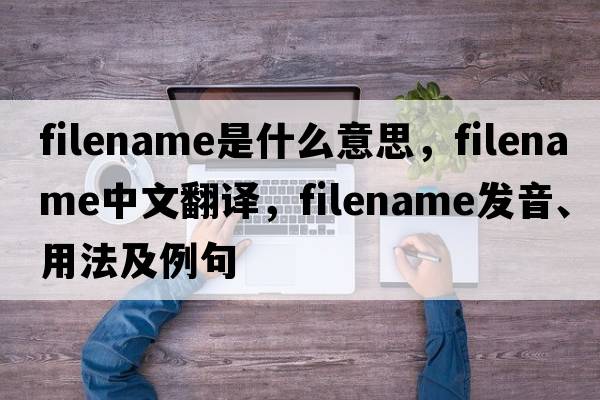 filename是什么意思，filename中文翻譯，filename發(fā)音、用法及例句