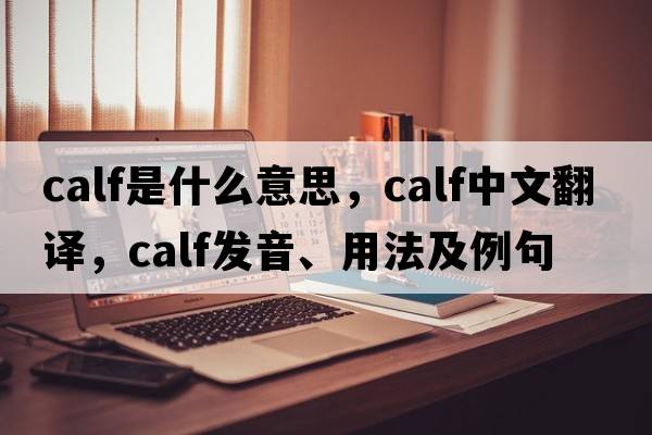 calf是什么意思，calf中文翻譯，calf發(fā)音、用法及例句