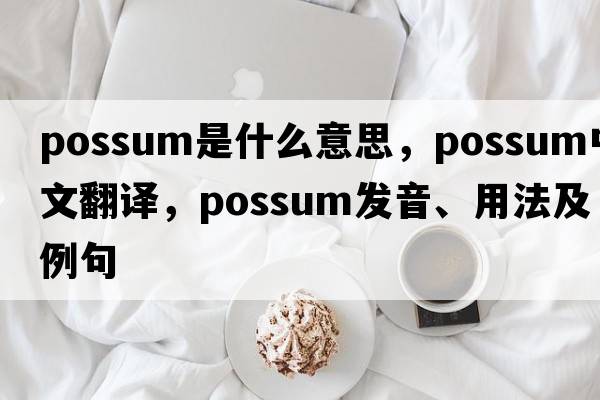 possum是什么意思，possum中文翻譯，possum發(fā)音、用法及例句