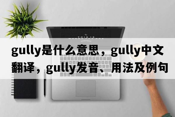 gully是什么意思，gully中文翻譯，gully發(fā)音、用法及例句
