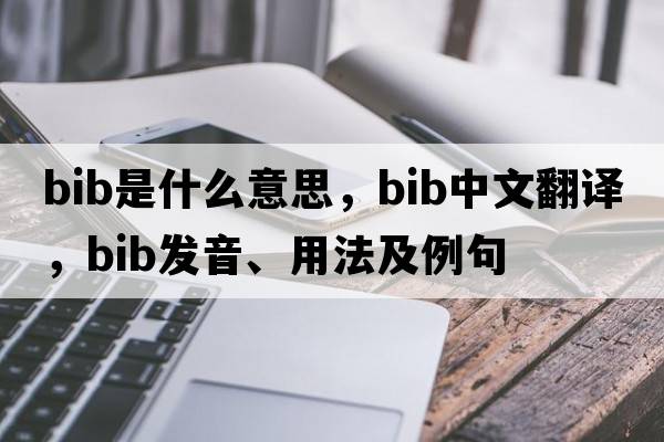 bib是什么意思，bib中文翻譯，bib發(fā)音、用法及例句
