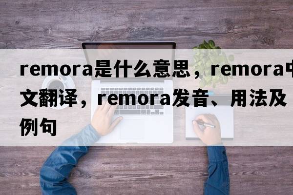 remora是什么意思，remora中文翻譯，remora發(fā)音、用法及例句