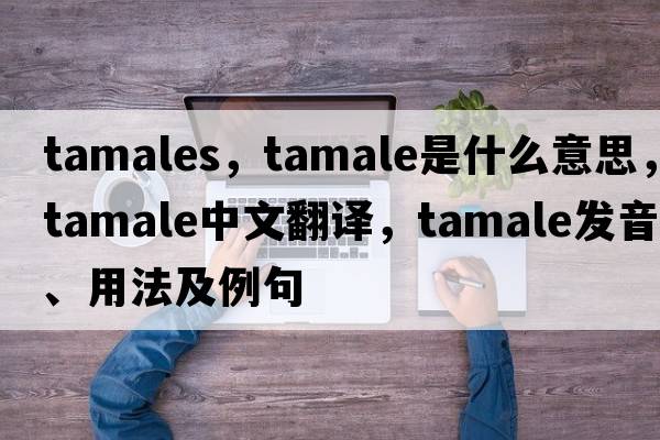 tamales，tamale是什么意思，tamale中文翻譯，tamale發(fā)音、用法及例句