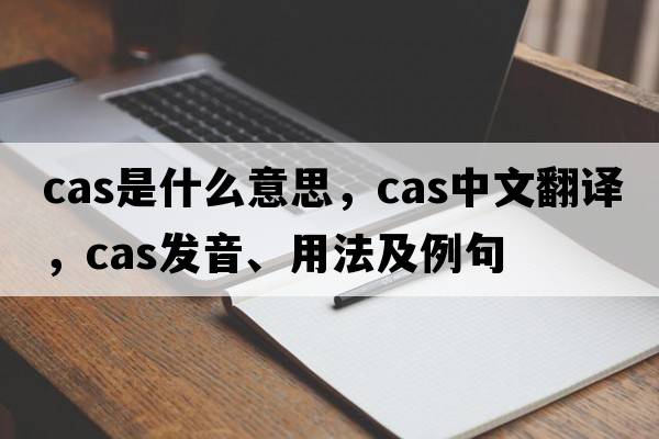 cas是什么意思，cas中文翻譯，cas發(fā)音、用法及例句