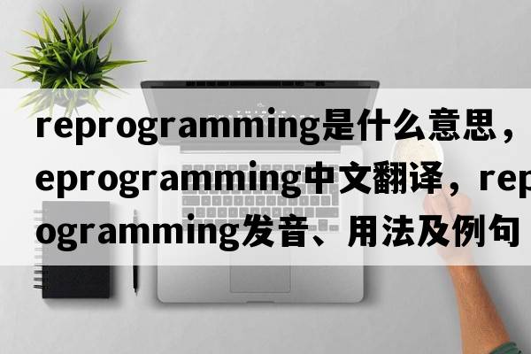reprogramming是什么意思，reprogramming中文翻譯，reprogramming發(fā)音、用法及例句