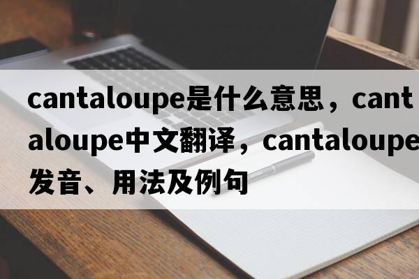 cantaloupe是什么意思，cantaloupe中文翻譯，cantaloupe發(fā)音、用法及例句