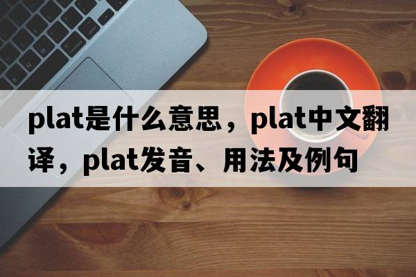 plat是什么意思，plat中文翻譯，plat發(fā)音、用法及例句