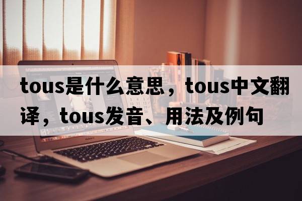 tous是什么意思，tous中文翻譯，tous發(fā)音、用法及例句